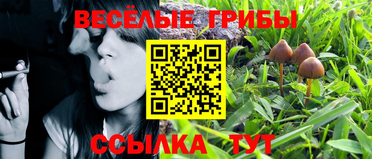 Псилоцибиновые грибы Magic Shrooms Кинель