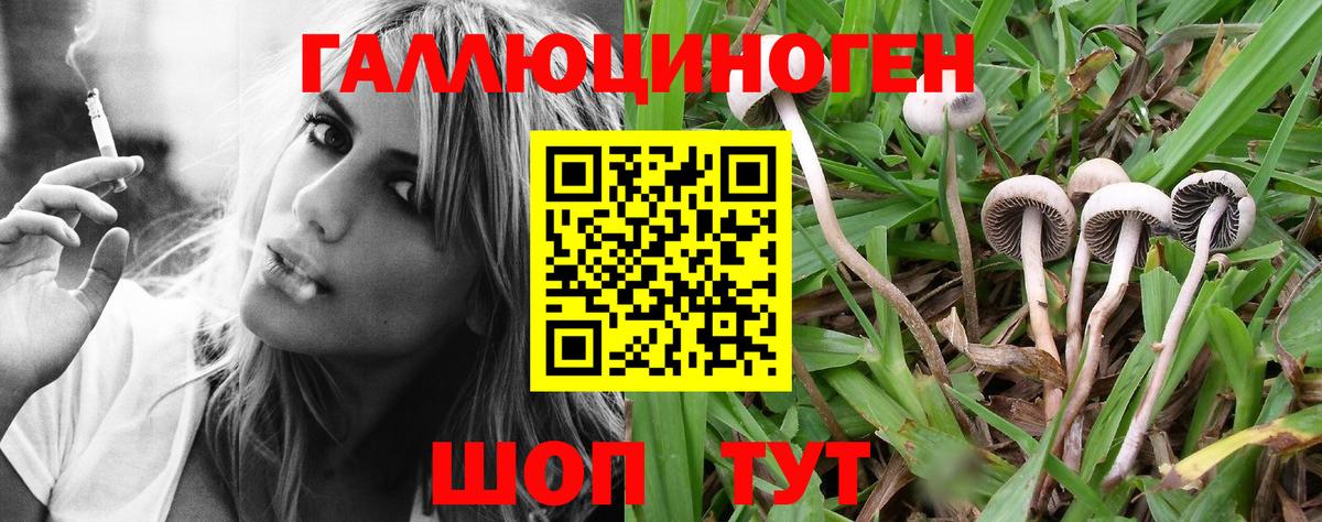 Галлюциногенные грибы мухоморы  Вход с VPN  Кинель 