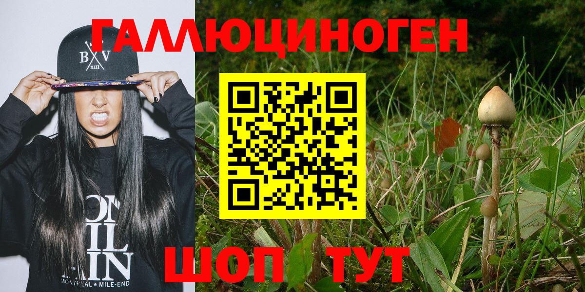 Меф МЯУ МЯУ  ГАШ  Кинель  Канабис  Вход с VPN  Меф кристаллы  Гашиш 